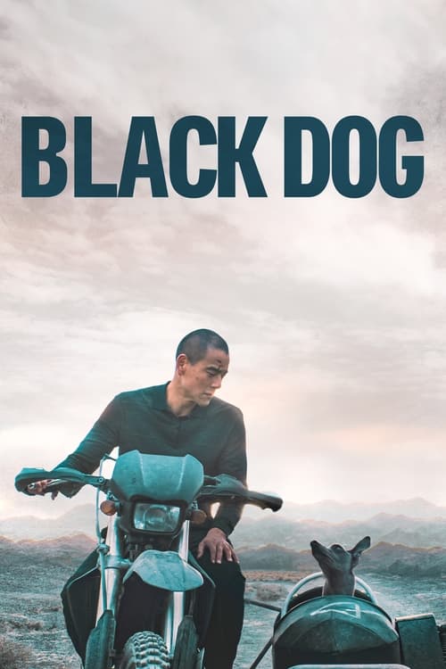 IV-0887 Black Dog (2024)