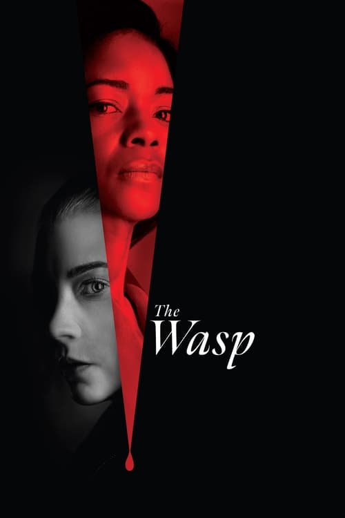 IV-1049 The Wasp (2024)