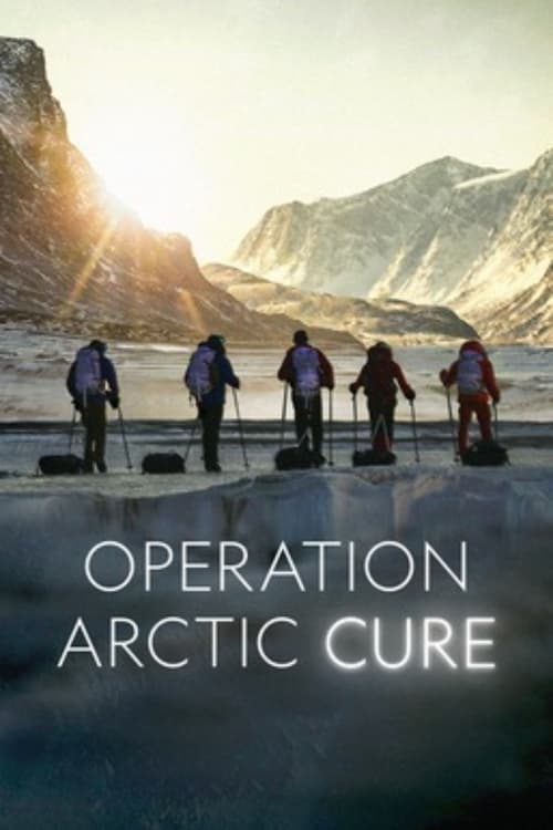 IV-0505 Operation Arctic Cure (2024)