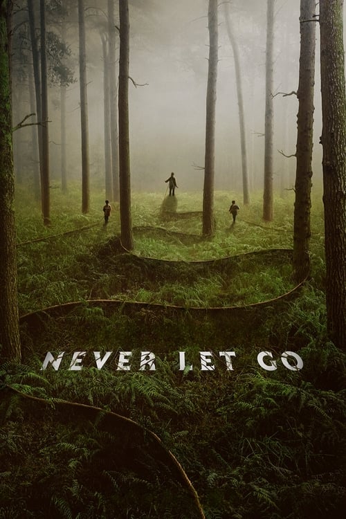 IV-1190 Never Let Go (2024)