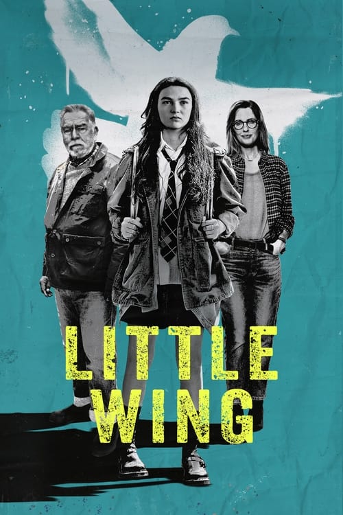 IV-0222 Little Wing (2024)