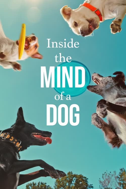 IV-0908 Inside the Mind of a Dog (2024)