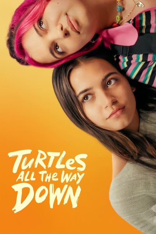 IV-0464 Turtles All the Way Down (2024)